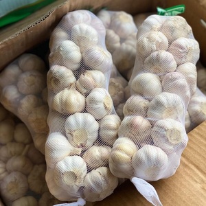 Ajo Congelado de Primera Calidad, Vegetales Mixtos a Granel de China, Mejor Precio/Ajo Congelado IQF Fresco de Alta Calidad - Product Image 2