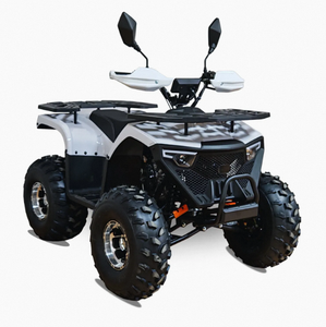 Quad tout-terrain adulte Chithan 125cc 4 temps à transmission par chaîne automatique 1000W essence 4x4 avec blocage de différentiel CE 3 ans OEM ODM DIY - Product Image 1