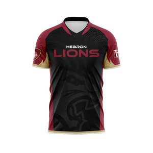 Custom Padel Jersey Breathable <b>Mesh</b> Quick Dry Eco-Friendly V-neck Short Sleeve Polyester Sports Shirt Men <b>Women</b> Team Training - Product Image 1