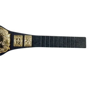 Intercontinental Champion Belt Personalized Championship Award Trophy High Quality Custom Sports Belt Unique Design - Product Image 3