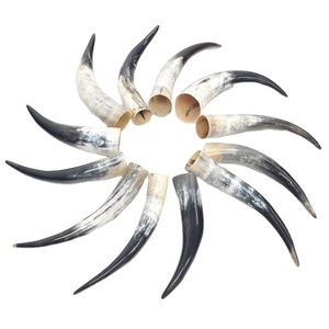 2024 superventas único Animal náutico grabado pulido africano beber cuerno artesanías naturales al por mayor de La India - Product Image 1