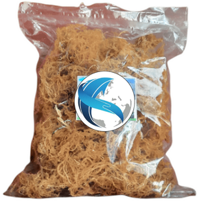 Mousse de mer séchée biologique de qualité supérieure en or pour les smoothies et les bienfaits pour la santé emballage en vrac - Product Image 2