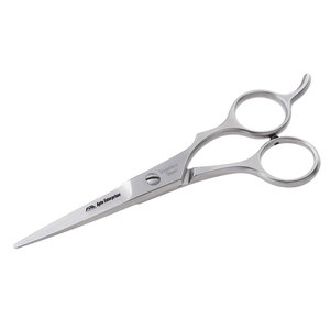 Tijeras de estilismo 5,5, tijeras para el cabello para mujeres y hombres, cuchillas de corte de larga duración de acero inoxidable plateado, maquinilla de afeitar afilada para uso en salón - Product Image 1