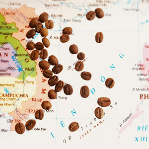 โรงงานกาแฟเวียดนามแคปซูลกาแฟ kcup arabica Robusta ที่อุดมไปด้วยกลิ่นหอมจัดส่งรวดเร็วพร้อมส่งออกราคาถูก - Product Image 5