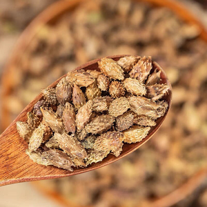 En gros, fruits de cocklebur séchés bruns, fruits de cocklebur communs sans épines, Vietnam ANGLE - Product Image 2