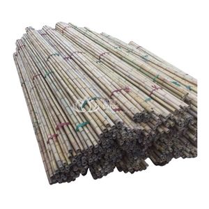 Poteaux et piquets en bambou durables les plus vendus – Canes en bambou Tonkin robustes et écologiques, longueur personnalisable de 0,1 à 9 m disponibles - Product Image 1