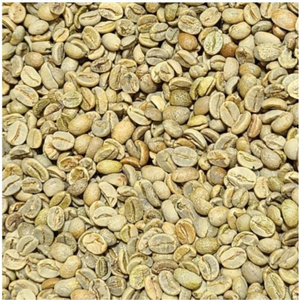 Granos de café Robusta verde estándar de la mejor exportación Estilo Vietnam completamente lavado Precio barato y saludable directamente de la fuente - Product Image 2
