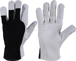 Guantes de trabajo de la mejor calidad Guantes de cuero Nappa también utilizados para guantes de trabajo de jardín Guantes de cuero de trabajo de Pakistán - Product Image 2