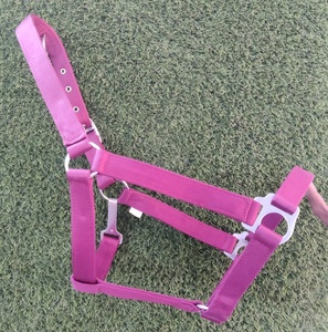 Halter de cuero con cuello Halter de caballo de cuero de polo de calidad superior Halter de caballo acolchado de nailon de cuero marrón aceitoso al mejor precio OEM y ODM - Product Image 4