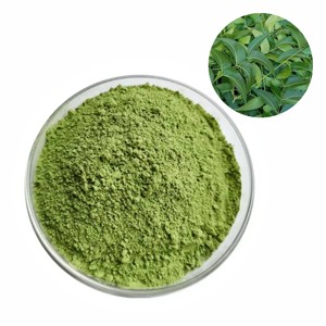 Poudre de Neem 100% Pure de Marque Privée 200g – Poudre de Feuilles d'Azadirachta Indica Premium pour Soins Capillaires, Soins de la Peau et Masques Faciaux - Product Image 3