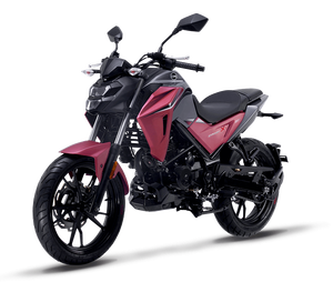 กรองอากาศสำหรับ SYM symnh T 125 / 200 / 300 & symnh x 125/200, dafra nH 190 (17211-NHA-000) - Product Image 5