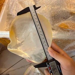 ถาดเปลือกหอยมุกขัดเงา งานฝีมือ จานเปลือกหอยธรรมชาติ จานใส่ไข่ปลาคาเวียร์สุดหรู ของที่ระลึก ของขวัญ ขายส่ง ราคาพิเศษ - Product Image 1