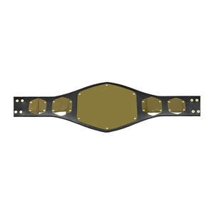 Cinturón de Campeonato de Lucha Libre Clásico, Placa Metálica de Alta Calidad, Logotipo Personalizado, Venta al Por Mayor, ODM, Novedad 2026 - Product Image 1