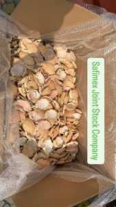 เปลือกปูแห้งธรรมชาติสำหรับยัดไส้และงานฝีมือ - Product Image 4
