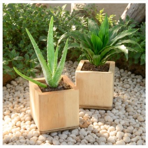 Square Natural Pine <b>Wood</b> Planter Pots Handmade Wooden Succulent Boxes for Office <b>Desk</b> Custom Logo OEM <b>Solid</b> <b>Wood</b> Flower Pot - Product Image 2
