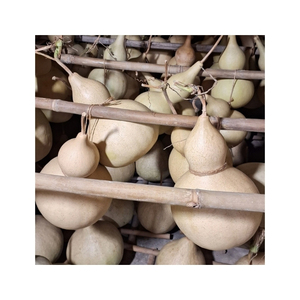 Meilleures ventes : Bols en calebasse faits à la main, écologiques, pour le service alimentaire et la décoration intérieure, destinés à l'exportation - Product Image 5