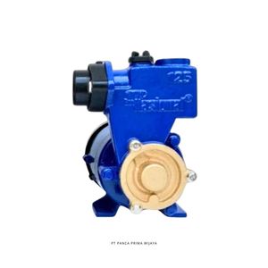 High Quality Electric Water Pump 125W Shallow Well Booster Pump 220V Household Water Transfer Pump Low <b>Noise</b> - Product Image 4