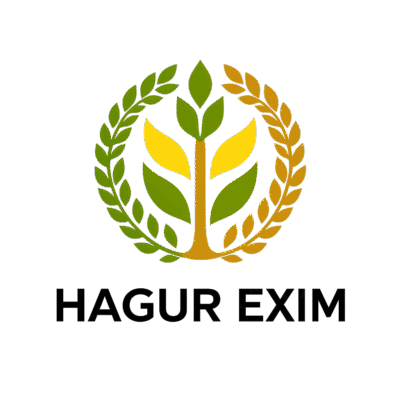 HAGUR EXIM logo