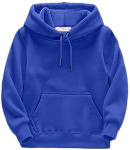 Nuevas sudaderas con capucha personalizadas con logo, sudaderas lisas de talla grande, ropa informal de algodón para hombre en venta - Product Image 1