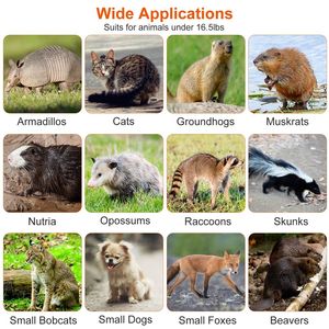 Trampa Humana para Animales Vivos, Jaula Plegable de Alambre Galvanizado para Capturar Roedores, Mapaches, Castores, Zorros - Suministros para Animales Pequeños - Product Image 3