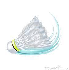 ลูกแบดมินตัน LIBOTAI G-A1 รุ่นปี 2024 ระดับการแข่งขัน 74-79 ความเร็วสูง ผลิตจากไม้คอร์ก 3 ชั้น ขนห่าน แบดมินตันบอล บูลู อังซา คลาสซิฟิเคชั่น - Product Image 5