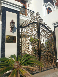 Puerta Batiente Metálica Decorativa Moderna y Personalizada – Hierro Forjado para Villas, Escuelas, Centros Comerciales y Entradas Exteriores - Product Image 6