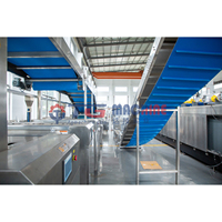 Máquina TG Totalmente Automática para Galletas y Chocolate - 200-1500 kg/h, Crujientes/Duras/Galletas, Directo de Fábrica