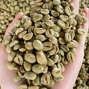 เมล็ดกาแฟอาราบิก้าเกรดพรีเมียม ขนาด 16 เมล็ด ผลิตในเวียดนาม จำหน่ายส่ง 100% ธรรมชาติ ความเสียหายต่ำ 0.1% มาตรฐาน ISO 22000 - Product Image 1