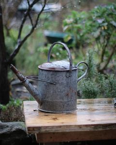 Arrosoir en métal de style moderne pour le jardinage domestique, bec long, poignée ergonomique, versement équilibré, corps résistant à la rouille - Product Image 1