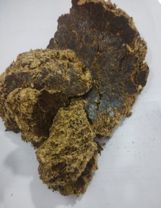 Harina de Semillas de Algodón de Alta Proteína, Extraída con Solvente, para Alimentación de Ganado, Lechera y Aves de Corral, Suministro a Granel - Product Image 5