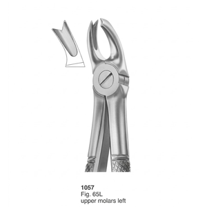 Forceps d'extraction Fig. Molaires supérieures gauche 65L (modèle anglais) |   Acier inoxydable de qualité supérieure - Product Image 2