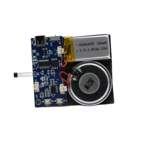 Nam Châm Cảm Biến Mic Ghi Âm Thanh Module Với Loa <span class=keywords><strong>DIY</strong></span> Acoustic Thành Phần Cho Âm Thanh Hộp Quà Tặng - Product Image 1
