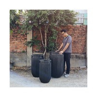 Jardinières en fibre-ciment de luxe, écologiques, légères, hautes, pour l'extérieur, design rayé rond, pour les toits et les jardins urbains, usage domestique