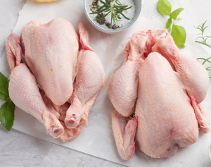 Pollo Entero Congelado al por Mayor, Pollo Halal Fresco Congelado, Proveedor de Carne de Aves de Corral Premium para Importadores, Venta al por Mayor - Product Image 6