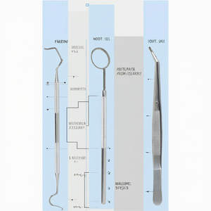 Dental Examination <b>Kit</b> <b>Teeth</b> <b>Whitening</b> Mirror Scaler Tweezers Dental Basic Diagnostic Instrument Set Dental By Dentavex - Product Image 2
