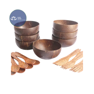 Meilleures ventes Bol en coquille de noix de coco écologique avec finition lisse - Product Image 1