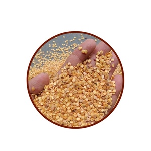 Graines de piment jalapeño biologiques séchées de qualité supérieure, haut rendement, résistantes aux maladies, non-OGM, brutes |   Chaleur douce pour les épices, la mise en conserve et le jardinage - Product Image 5