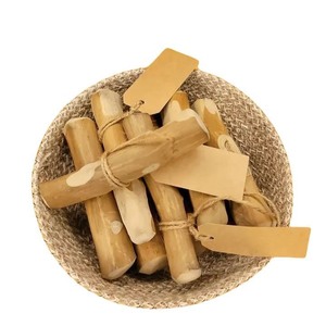 Jouet à mâcher en bois naturel pour chien – Bâton à mâcher durable, sûr et écologique |   Fournisseur de jouets pour animaux de compagnie haut de gamme // M. Tom - Product Image 3