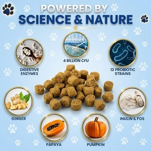 Masticables Probióticos para Perros y Gatos, Salud Digestiva, Equilibrio de la Flora Intestinal, Suplemento Diario para Mascotas, OEM, ODM, Suministros al por Mayor - Product Image 3