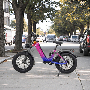 Vélo électrique 750W personnalisable OEM OED V20 en alliage d'aluminium, pneus larges, 48V 20Ah, 20x4, vélo de banlieue, stock UE - Product Image 3