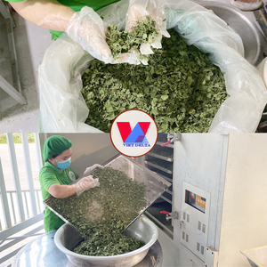 ผงใบบัวบกแห้งแบบฟรีซดรายจากเวียดนาม บรรจุภัณฑ์ขายส่ง วัตถุเจือปนอาหาร วัตถุดิบเครื่องดื่ม - Product Image 3