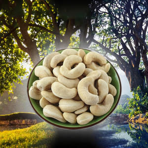 Noix de cajou biologiques du Vietnam les plus vendues W180/W240/W320, noyaux bruts de qualité supérieure, marque Phalco, durée de conservation de 24 mois pour la vente en gros - Product Image 3