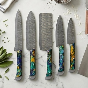 Premium Damascus Steel 5-PCS Chef <b>Knife</b> Set Luxury Resin Handles Ambidextrous Design Polished Blades (67 Layers) Custom Logo - Product Image 1
