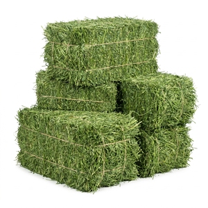Alfalfa Hay Bale Dried Animal Feed High Fiber Forage Hay for Horses Cattle Sheep Wholesale Bulk Supply Export Manufacturer - Product Image 1