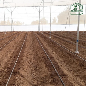 Casa de Malla Sombreadora Agrícola con Cubierta de Poliéster Estabilizado UV para Cultivo de Hortalizas, Frutas y Plantas de Vivero - Product Image 6
