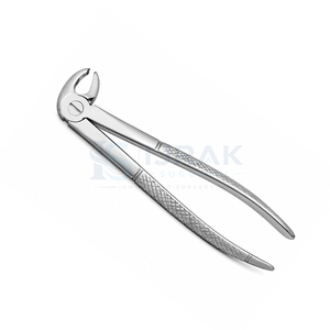 Forceps d'extraction dentaire en acier inoxydable avec poignée moletée, instrument chirurgical manuel pour extraction de dents, classe I - Product Image 1