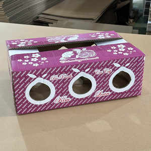 Custom Eco-Friendly Recycled Materials Packaging <b>Box</b> for Fresh Pomelo Fruit | Agricultural Produce Carton Export Wholesale - Product Image 2