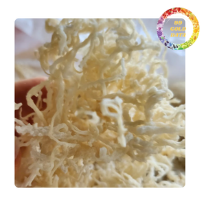 Musgo Marino Seco a Granel para Exportación, Superalimento Vegano Saludable, Fabricante Vietnamita con Etiqueta Privada OEM - Product Image 1
