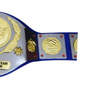 Ceinture de champion de l'équipe de la WWE personnalisable, ceinture de championnat de lutte de qualité supérieure, objet de collection sportif - Product Image 4
