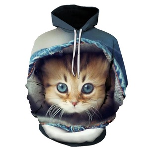 Sweat-shirt à capuche pour homme, imprimé chat 3D, coupe classique, décontracté, automne, tricoté en polyester, design par sublimation - Product Image 1